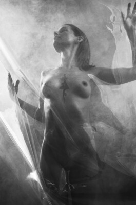 DOMINIQUE HUTER PHOTOGRAPHY