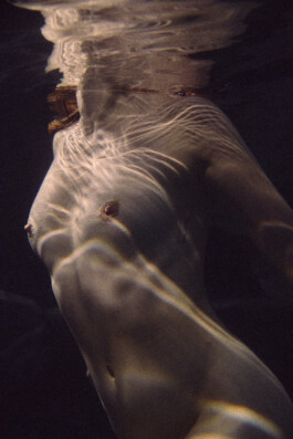 DOMINIQUE HUTER PHOTOGRAPHY