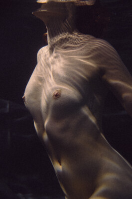 DOMINIQUE HUTER PHOTOGRAPHY