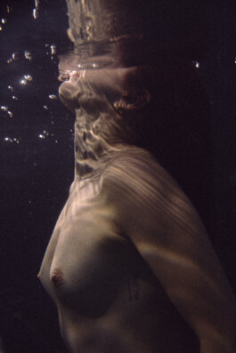 DOMINIQUE HUTER PHOTOGRAPHY