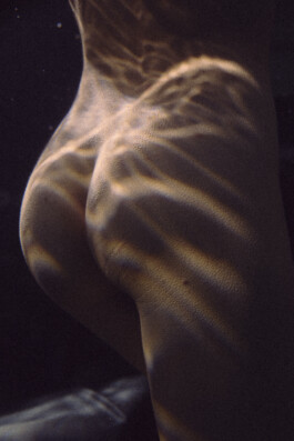 DOMINIQUE HUTER PHOTOGRAPHY