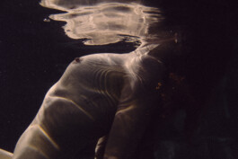 DOMINIQUE HUTER PHOTOGRAPHY