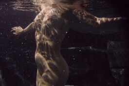 DOMINIQUE HUTER PHOTOGRAPHY