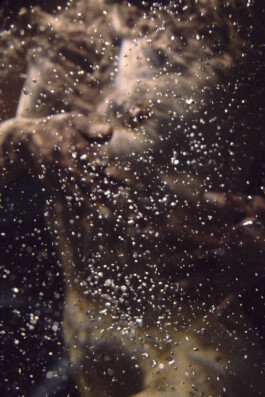 DOMINIQUE HUTER PHOTOGRAPHY