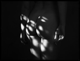 DOMINIQUE HUTER PHOTOGRAPHY