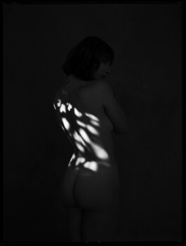 DOMINIQUE HUTER PHOTOGRAPHY