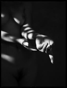 DOMINIQUE HUTER PHOTOGRAPHY