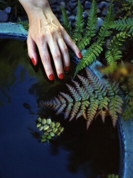 DOMINIQUE HUTER PHOTOGRAPHY