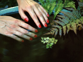 DOMINIQUE HUTER PHOTOGRAPHY