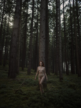 DOMINIQUE HUTER PHOTOGRAPHY