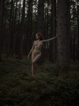 DOMINIQUE HUTER PHOTOGRAPHY