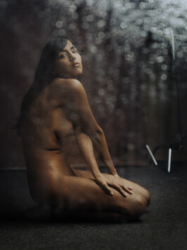 DOMINIQUE HUTER PHOTOGRAPHY