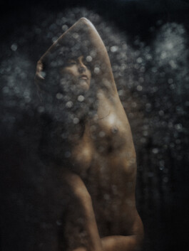 DOMINIQUE HUTER PHOTOGRAPHY