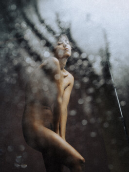 DOMINIQUE HUTER PHOTOGRAPHY